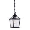 Salem Collection 1-Light Matte Black Outdoor Hanging Ceiling Light by Acclaim Lighting 1 Salem Collection 1-Light Matte Black Outdoor Hanging Ceiling Light by Acclaim Lighting -Acclaim Lighting store matte black acclaim lighting outdoor pendant lights 9706bk 64 1000