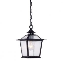 Salem Collection 1-Light Matte Black Outdoor Hanging Ceiling Light by Acclaim Lighting