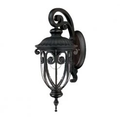 Naples Collection Wall-Mount 1-Light Outdoor Matte Black Wall Lantern Sconce by Acclaim Lighting