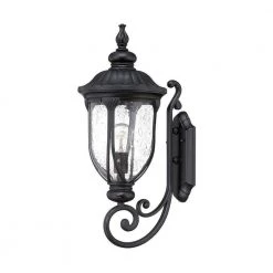 Laurens Collection 1-Light Matte Black Outdoor Wall Lantern Sconce by Acclaim Lighting