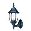 Wexford Collection 1-Light Matte Black Outdoor Wall Lantern Sconce by Acclaim Lighting