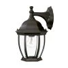 Wexford Collection 1-Light Matte Black Outdoor Wall Lantern Sconce by Acclaim Lighting -Acclaim Lighting store matte black acclaim lighting outdoor sconces 5035bk 64 1000