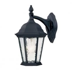 Telfair Collection 1-Light Matte Black Outdoor Wall Lantern Sconce by Acclaim Lighting