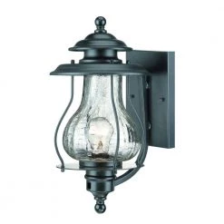 Blue Ridge Collection 1-Light Matte Black Outdoor Wall Lantern Sconce by Acclaim Lighting