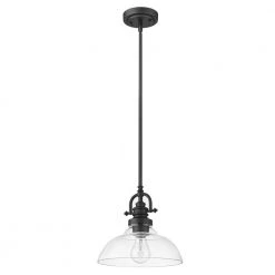 Virginia 1-Light Indoor Matte Black Mini-Pendant with Glass Shade by Acclaim Lighting