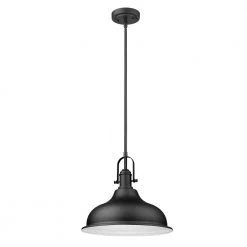 Virginia 1-Light Indoor Matte Black Mini-Pendant with Metal Shade by Acclaim Lighting
