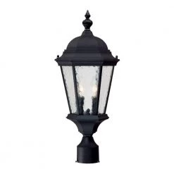 Telfair 2-Light Matte Black Outdoor Post-Mount Light Fixture by Acclaim Lighting