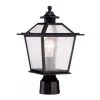 Salem Collection 1-Light Matte Black Outdoor Post-Mount Light by Acclaim Lighting -Acclaim Lighting store matte black acclaim lighting post lanterns 9707bk 64 1000