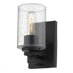 Orella 1-Light Matte Black Sconce by Acclaim Lighting