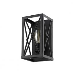 Brooklyn 1-Light Matte Black Sconce by Acclaim Lighting