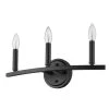 Sawyer 18 in. 3-Light Matte Black Vanity Light by Acclaim Lighting