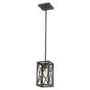 Brooklyn 1-Light Oil-Rubbed Bronze Pendant by Acclaim Lighting