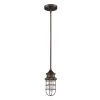 Virginia Indoor 1-Light Oil Rubbed Bronze Mini-Pendant with Metal Cage by Acclaim Lighting