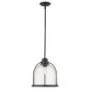 Stanton 1-Light Oil-Rubbed Bronze Pendant by Acclaim Lighting