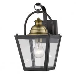 Savannah 1-Light Oil-Rubbed Bronze Outdoor Wall Light by Acclaim Lighting