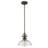 Virginia Indoor 1-Light Oil Rubbed Bronze Mini-Pendant with Glass Shade by Acclaim Lighting
