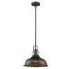 Virginia Indoor 1-Light Oil Rubbed Bronze Mini-Pendant with Metal Shade by Acclaim Lighting -Acclaim Lighting store oil rubbed bronze acclaim lighting pendant lights in21148orb 64 1000
