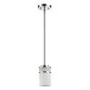 Alexis Indoor 1-Light Pendant with Glass Shade in Polished Nickel by Acclaim Lighting