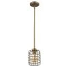 Lynden 1-Light Raw Brass Pendant with Wire Cage Shade by Acclaim Lighting