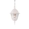 Builder's Choice Collection 1-Light Textured White Outdoor Hanging-Mount Lantern by Acclaim Lighting